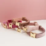 Collar Free Engrave Dog Collar Leash For Medium Big Pet - Image 3