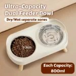 Dopamine Colorful Elevated Pet Feeder: Dual Stainless Steel Bowls with Neck Support - Image 3