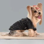 Fur Neck Coat And Jacket For Small Dog Leather Luxury Fall Winter Warm - Image 5