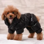 Waterproof and warm hoodie for pet, perfect for winter. - Image 4