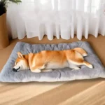 Large Plush Dog Bed Sofa Thickened Super Soft Polyester Pet - Image 2