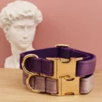 Collar Free Engrave Dog Collar Leash For Medium Big Pet - Image 5