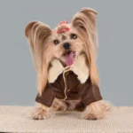 Fur Neck Coat And Jacket For Small Dog Leather Luxury Fall Winter Warm - Image 4