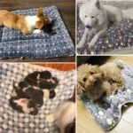 Dog rug, charming mattress cushion - Image 4