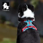 Truelove Pet Explosion-proof Dog Harness Camouflage Reflective Nylon - Image 3