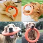 1pc Orange Dog Toys Pet Flying Disk Training Ring Puller - Image 5