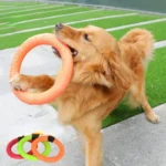 1pc Orange Dog Toys Pet Flying Disk Training Ring Puller - Image 2